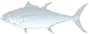 tuna.gif (1930 byte)